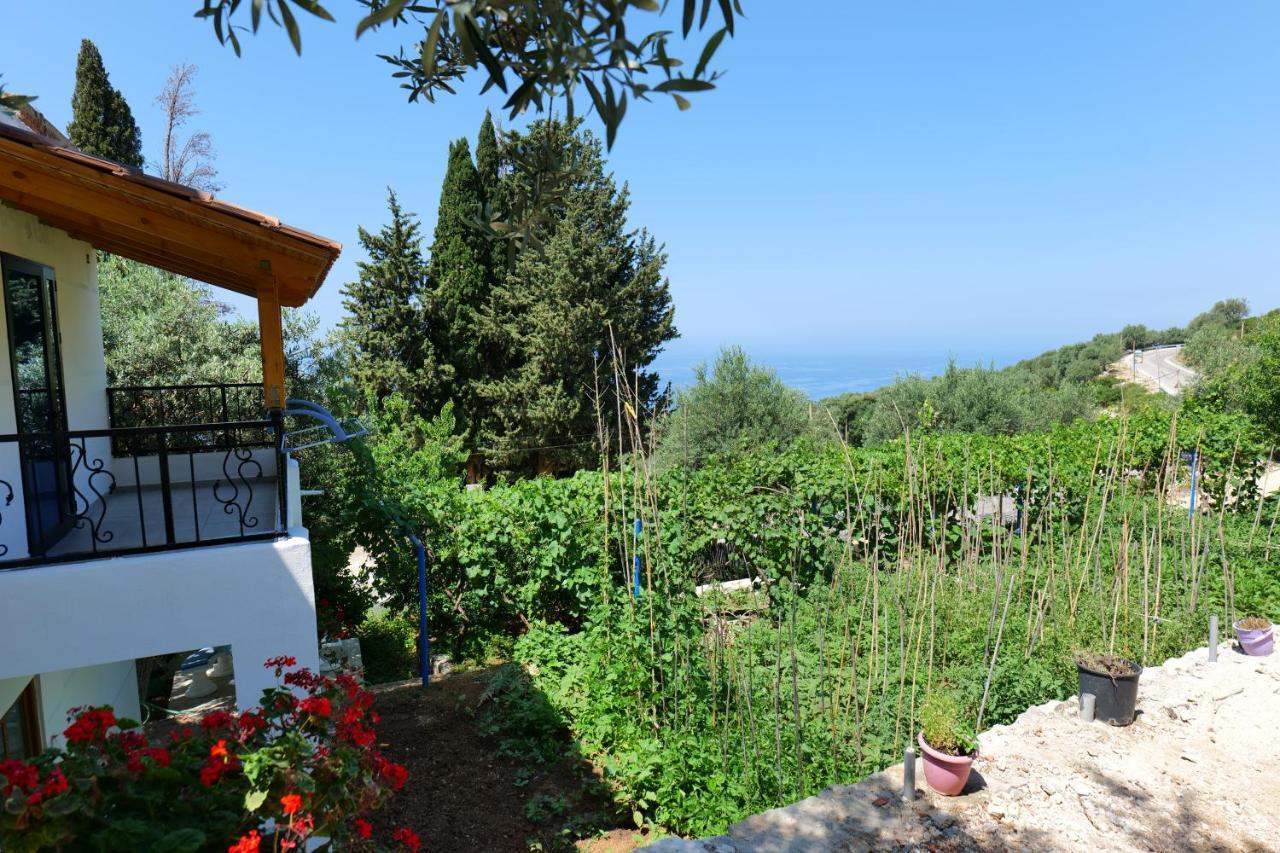 Vila Panorama Piqeras Bed & Breakfast Eksteriør bilde